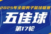 九游入口-NBL常规赛第17轮五佳球：克罗斯举火烧天 石家庄翔蓝精妙空接连线